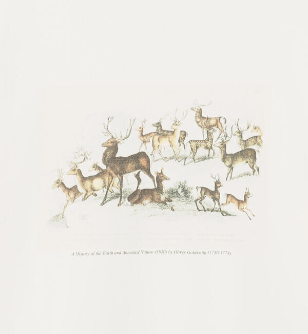  「History of Art | プリントTシャツ DEER MEN」|Tシャツ・カットソー|