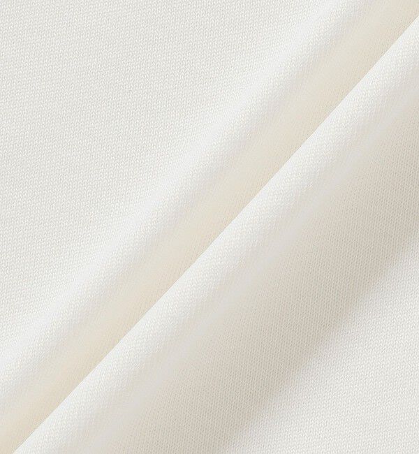 LACOSTE「ネーム&ワニロゴグラフィック長袖Tシャツ」|Tシャツ・カットソー|