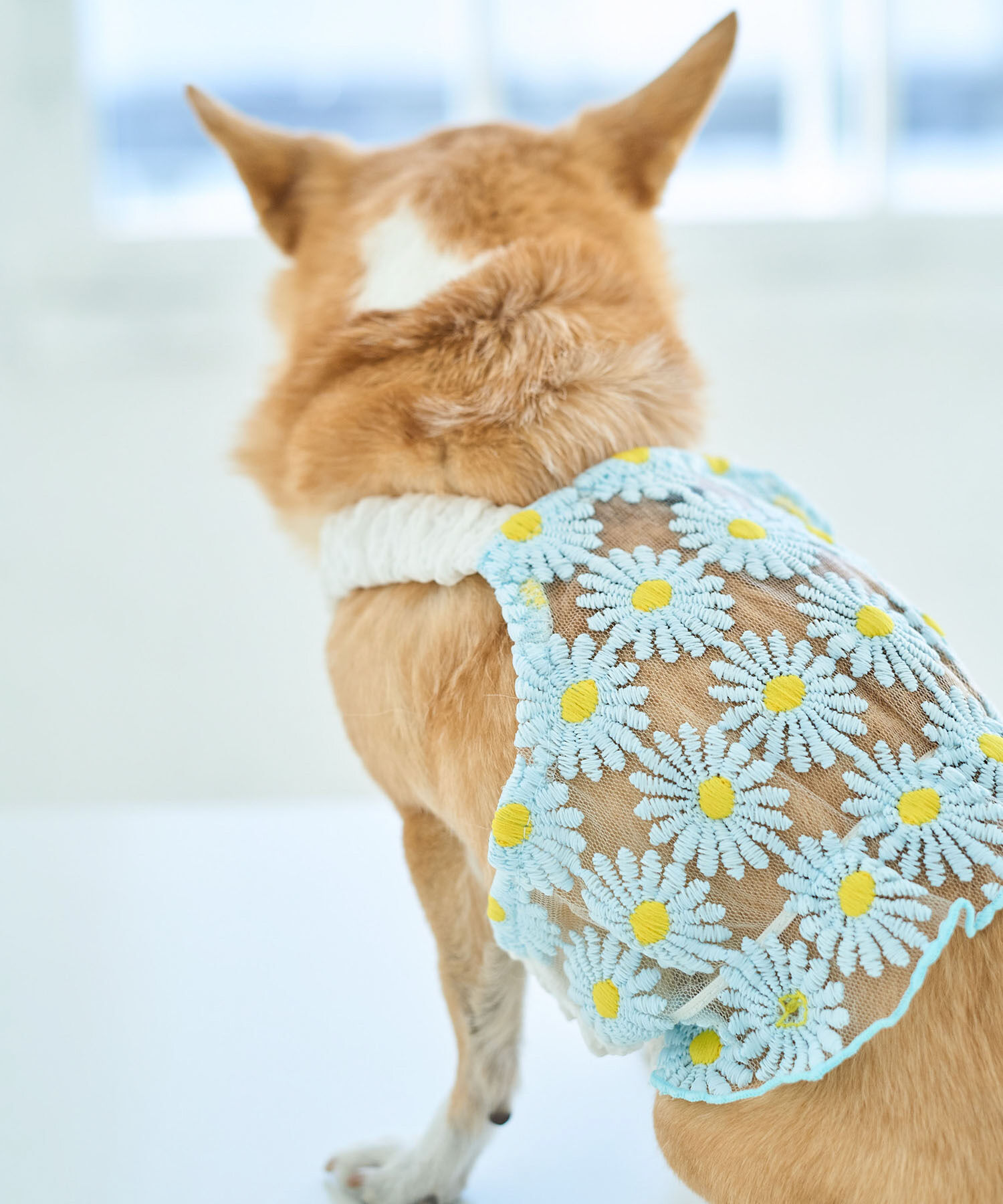 ROPE PICNIC PASSAGE「【DOG】フラワーキャミソール」|その他|サックス(48)
