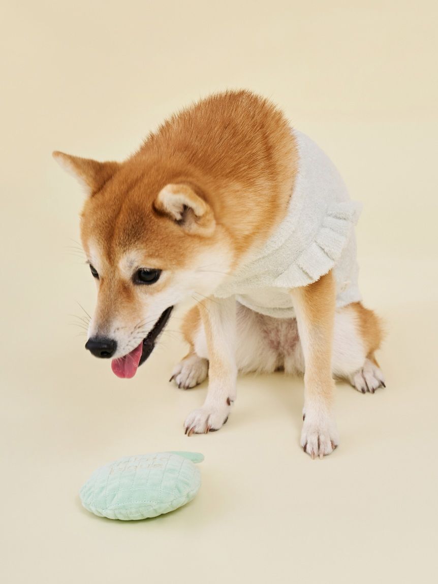  GELATO PIQUE CAT&DOG「【CAT&DOG】フルーツジャガードプルオーバー」|その他|