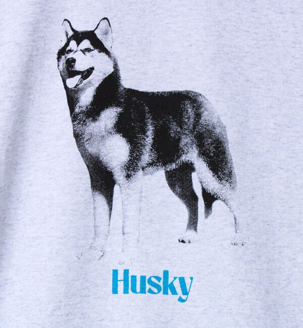 GLOSTER「【新デザイン】【DOG&CAT】NEW犬猫ロンT」|Tシャツ・カットソー|
