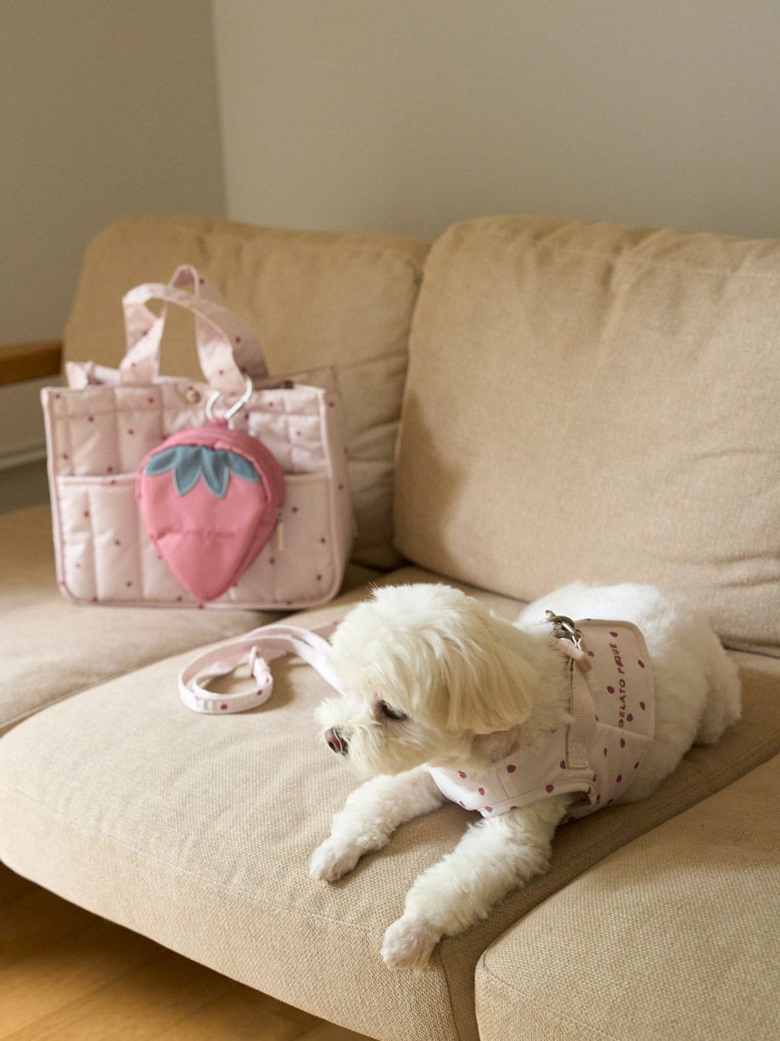  GELATO PIQUE CAT&DOG「【CAT&DOG】【販路限定商品】ストロベリーマナーポーチ」|その他|