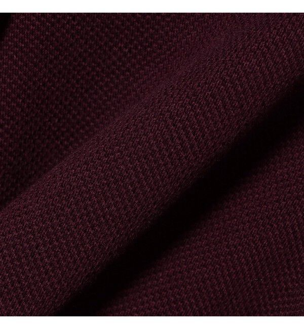 BEAMS「【別注】LACOSTE / ヘビーカノコ ロングスリーブ ポロ」|ポロシャツ|