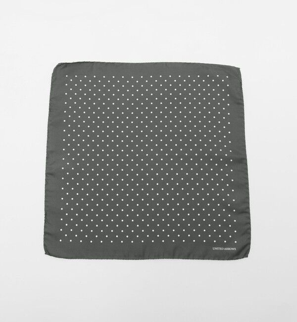 UNITED ARROWS「ドット ポケットチーフ」|その他|