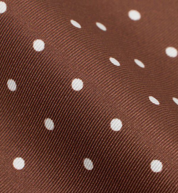 UNITED ARROWS「ドット ポケットチーフ」|その他|