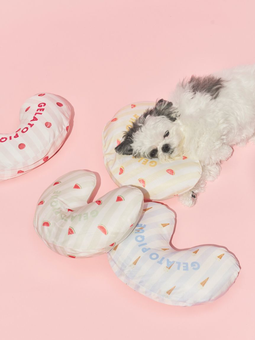  GELATO PIQUE CAT&DOG「【CAT&DOG】【接触冷感】【抗菌防臭】 Coolingピロー」|その他|