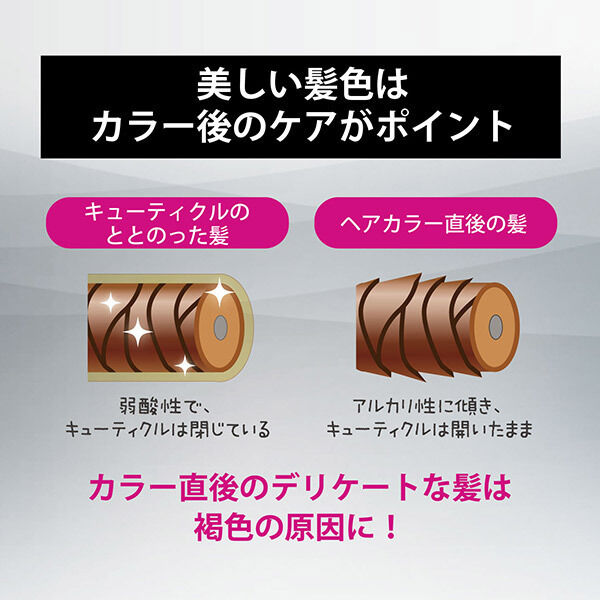  「スティーブンノル カラークチュール アフターカラー シャンプー&トリートメント」|シャンプー|