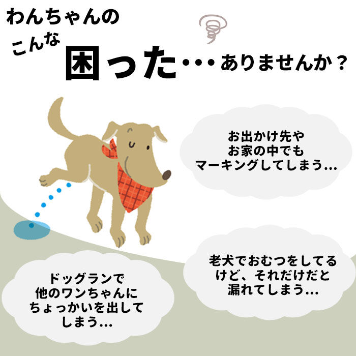 BACKYARD FAMILY「犬 マナーパンツ オス 通販 マナーウェア マナーパッド マナーパット 男の子 小型犬 中型犬」|その他|