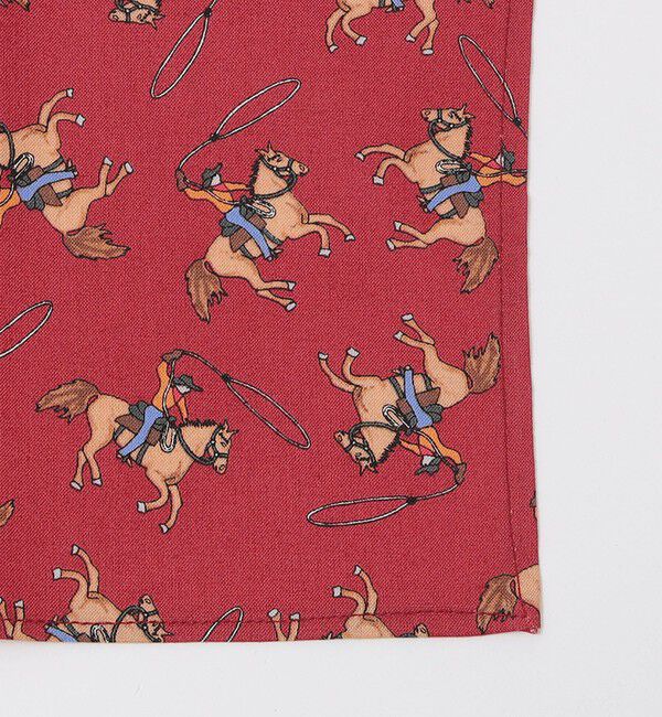 SHIPS「ROCKMOUNT: USA BANDANAS」|ハンカチ|