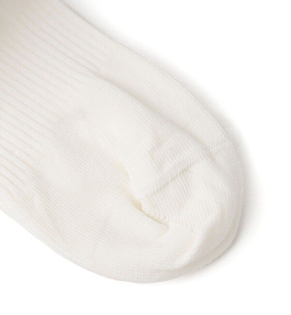 SHIPS any「LACOSTE: ワニロゴ ライン ソックス 3Pack」|ソックス|