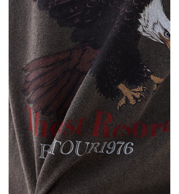  「《大人のためのプリントTシャツ》Eagle Tee」|Tシャツ・カットソー|