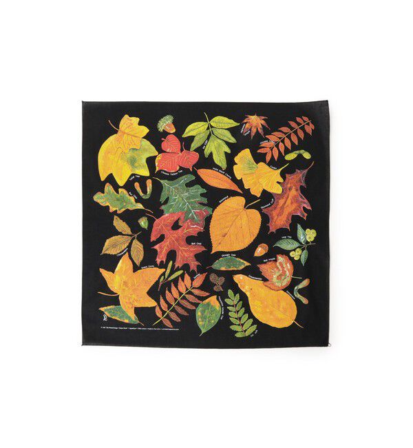 bPr BEAMS「【別注】THE PRINTED IMAGE / BANDANA」|トイレタリー・ランドリーグッズ|