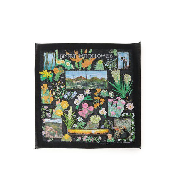 bPr BEAMS「【別注】THE PRINTED IMAGE / BANDANA」|トイレタリー・ランドリーグッズ|