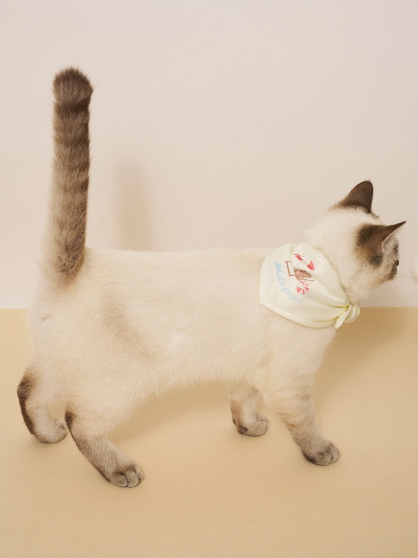  GELATO PIQUE CAT&DOG「【CAT&DOG】サマーベア柄保冷剤入れバンダナ」|その他|
