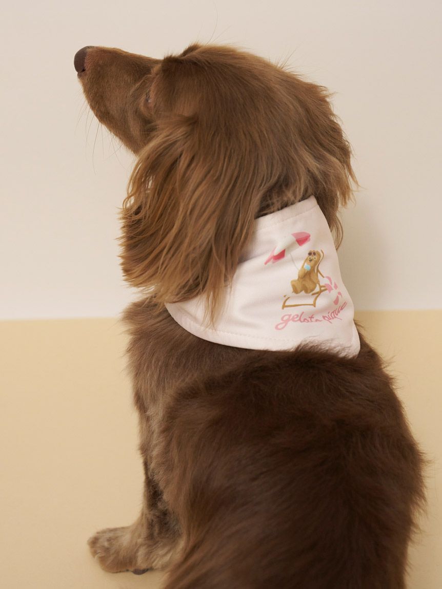  GELATO PIQUE CAT&DOG「【CAT&DOG】サマーベア柄保冷剤入れバンダナ」|その他|