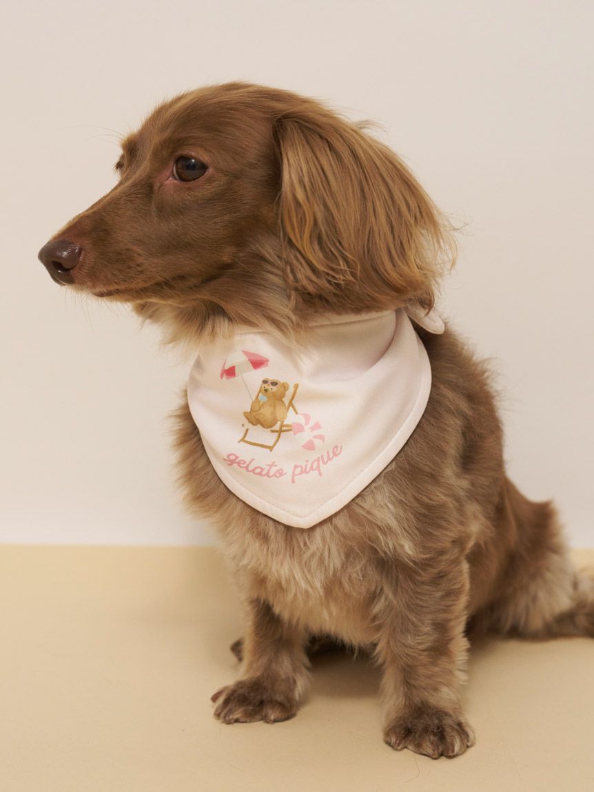  GELATO PIQUE CAT&DOG「【CAT&DOG】サマーベア柄保冷剤入れバンダナ」|その他|