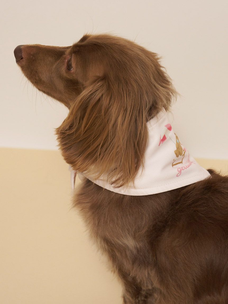  GELATO PIQUE CAT&DOG「【CAT&DOG】サマーベア柄保冷剤入れバンダナ」|その他|