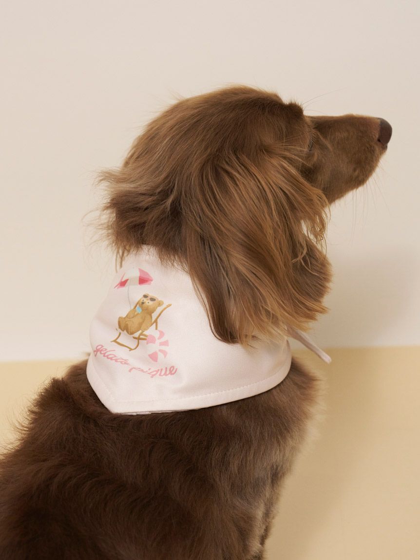  GELATO PIQUE CAT&DOG「【CAT&DOG】サマーベア柄保冷剤入れバンダナ」|その他|