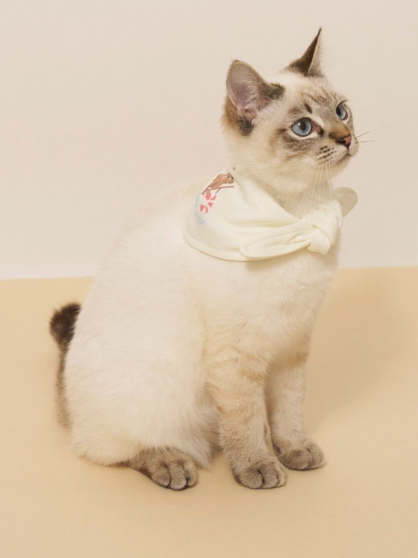  GELATO PIQUE CAT&DOG「【CAT&DOG】サマーベア柄保冷剤入れバンダナ」|その他|