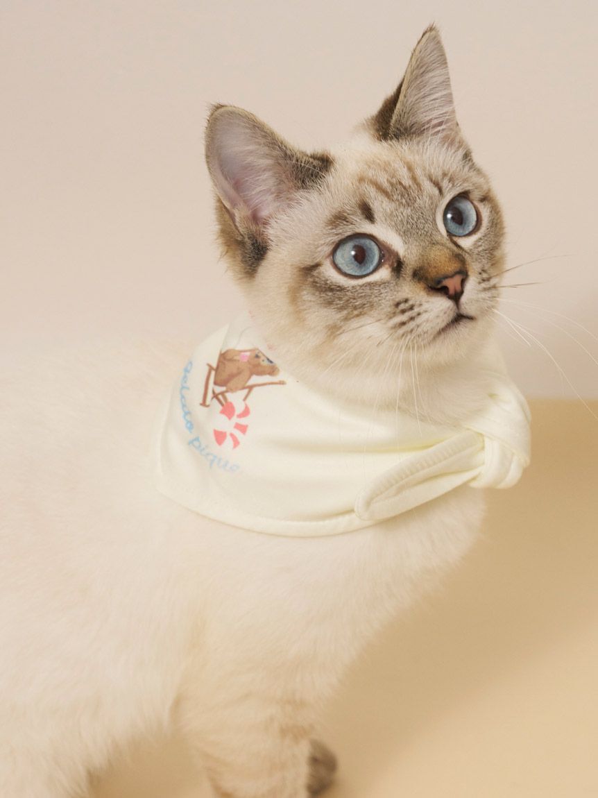  GELATO PIQUE CAT&DOG「【CAT&DOG】サマーベア柄保冷剤入れバンダナ」|その他|