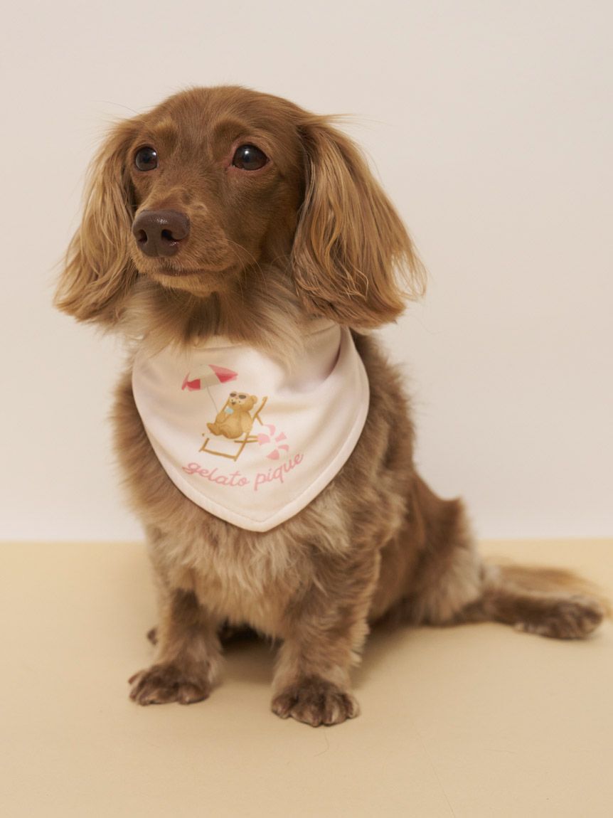  GELATO PIQUE CAT&DOG「【CAT&DOG】サマーベア柄保冷剤入れバンダナ」|その他|PNK