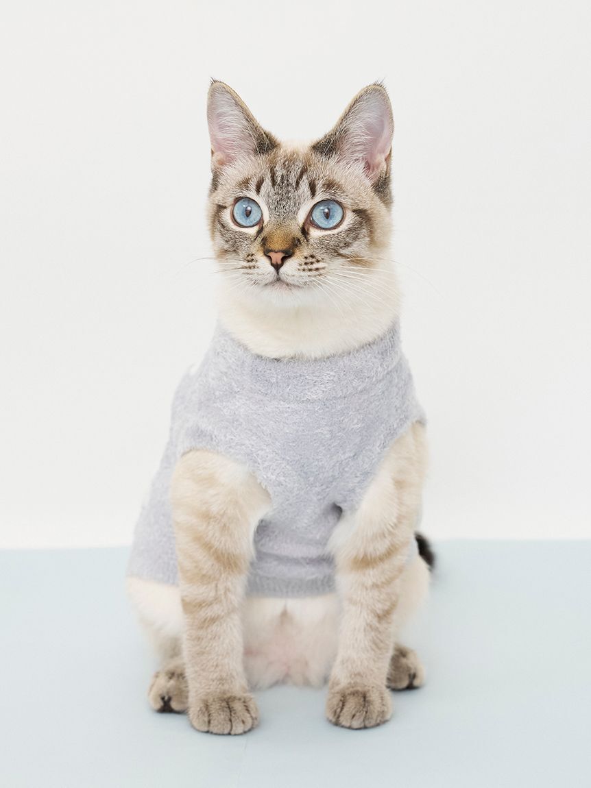  GELATO PIQUE CAT&DOG「【CAT&DOG】スムーズィー空モチーフプルオーバー」|その他|