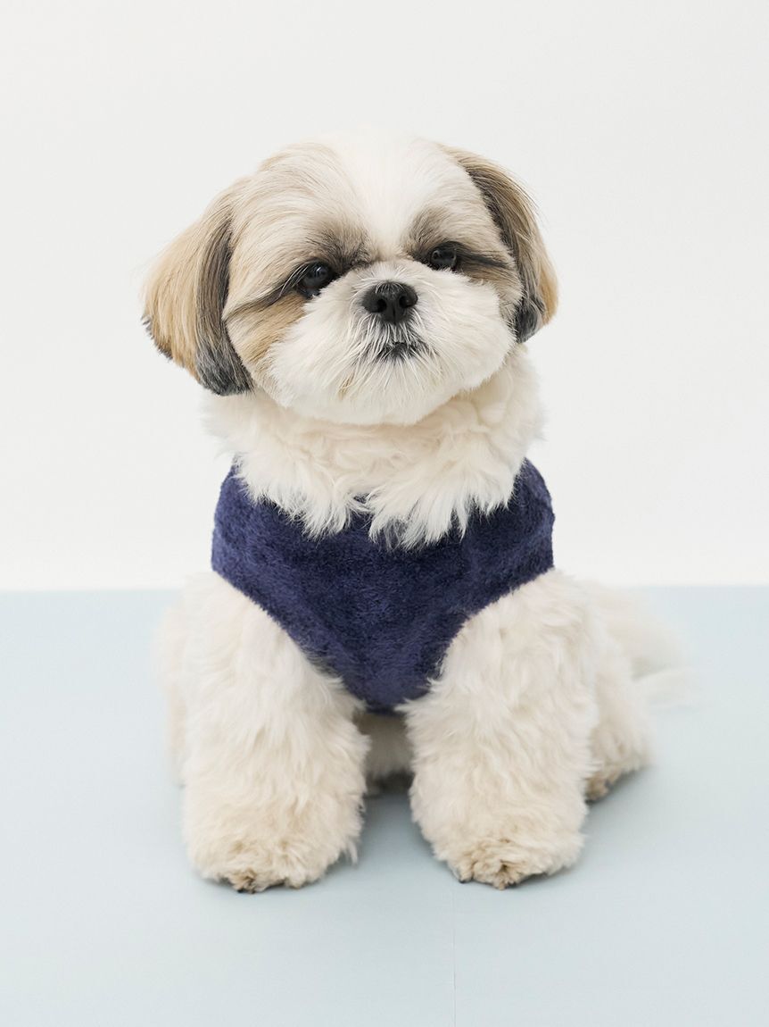  GELATO PIQUE CAT&DOG「【CAT&DOG】スムーズィー空モチーフプルオーバー」|その他|