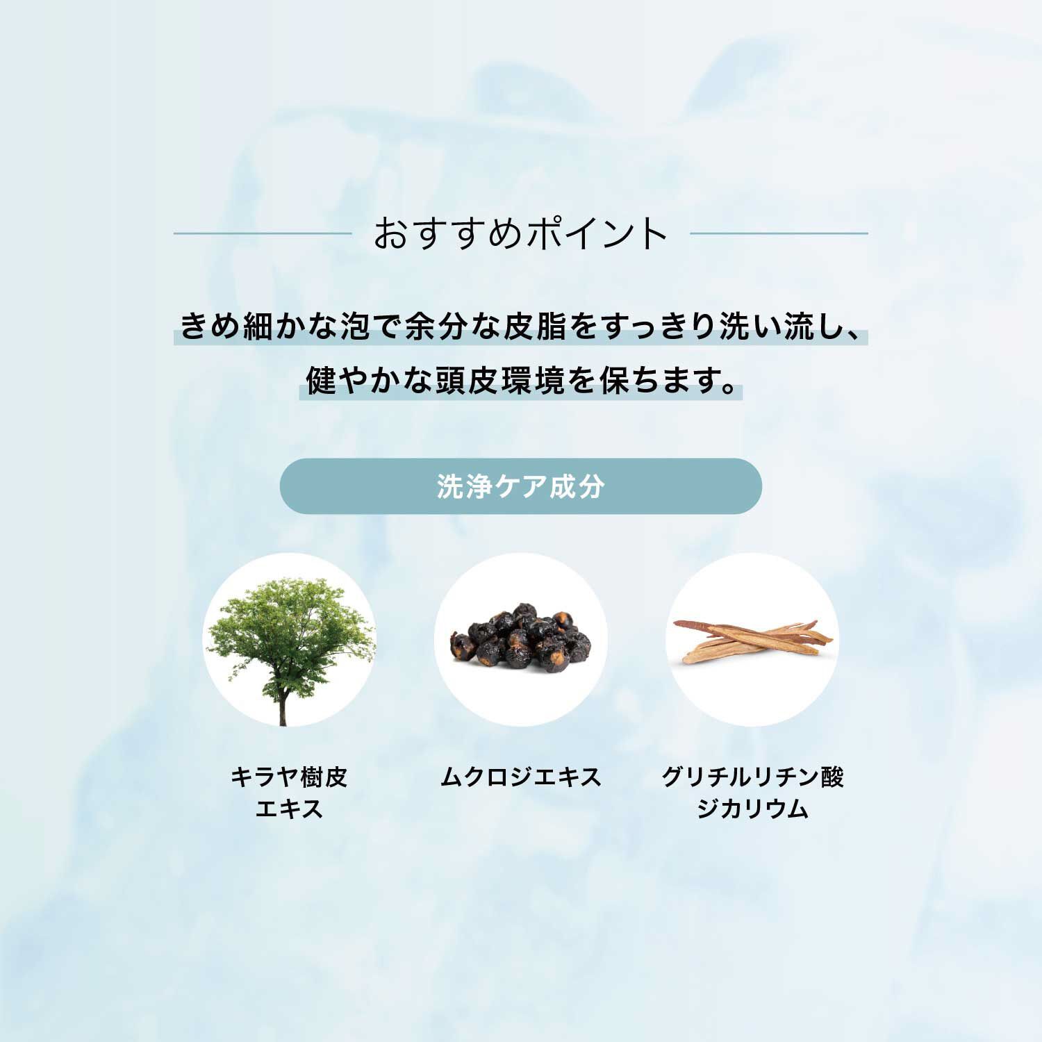 F ORGANICS「スキャルプシャンプー　クール 【O by F】」|シャンプー|