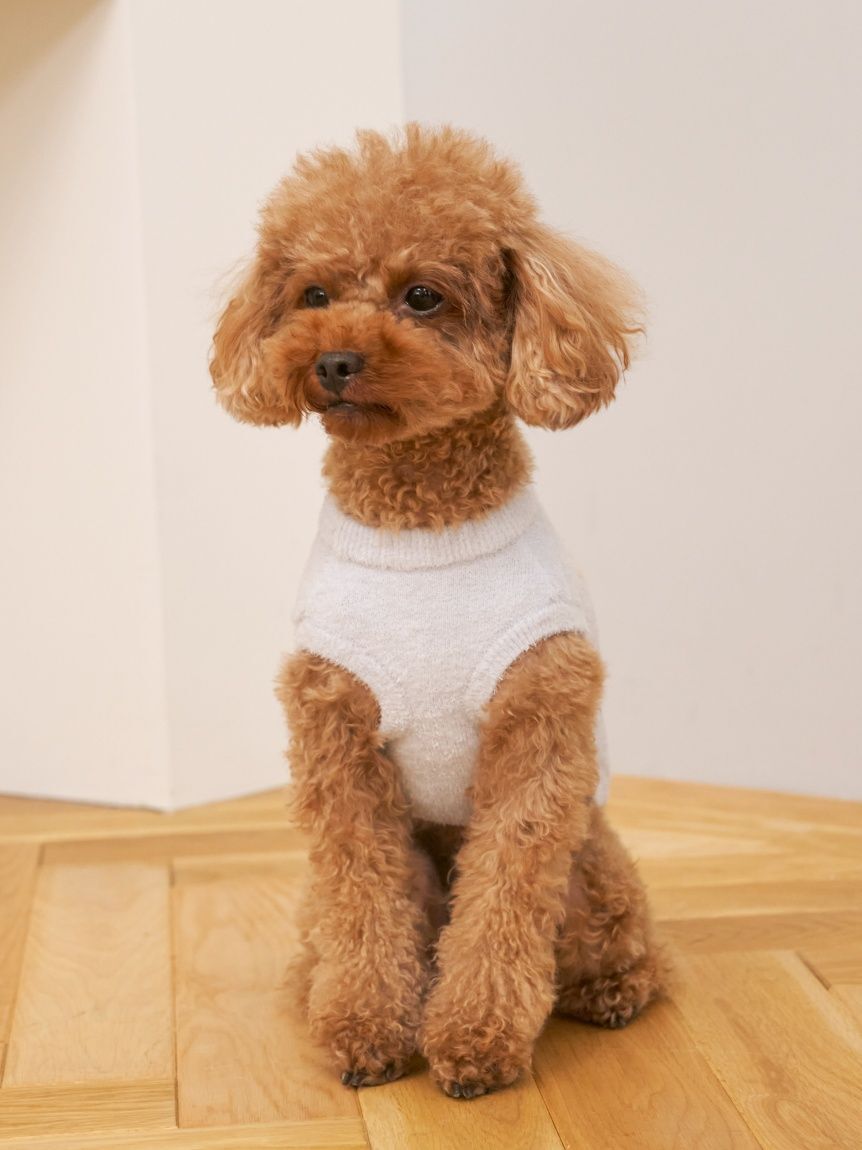  GELATO PIQUE CAT&DOG「【CAT&DOG】スムーズィートイプードル柄ジャガードプルオーバー」|その他|