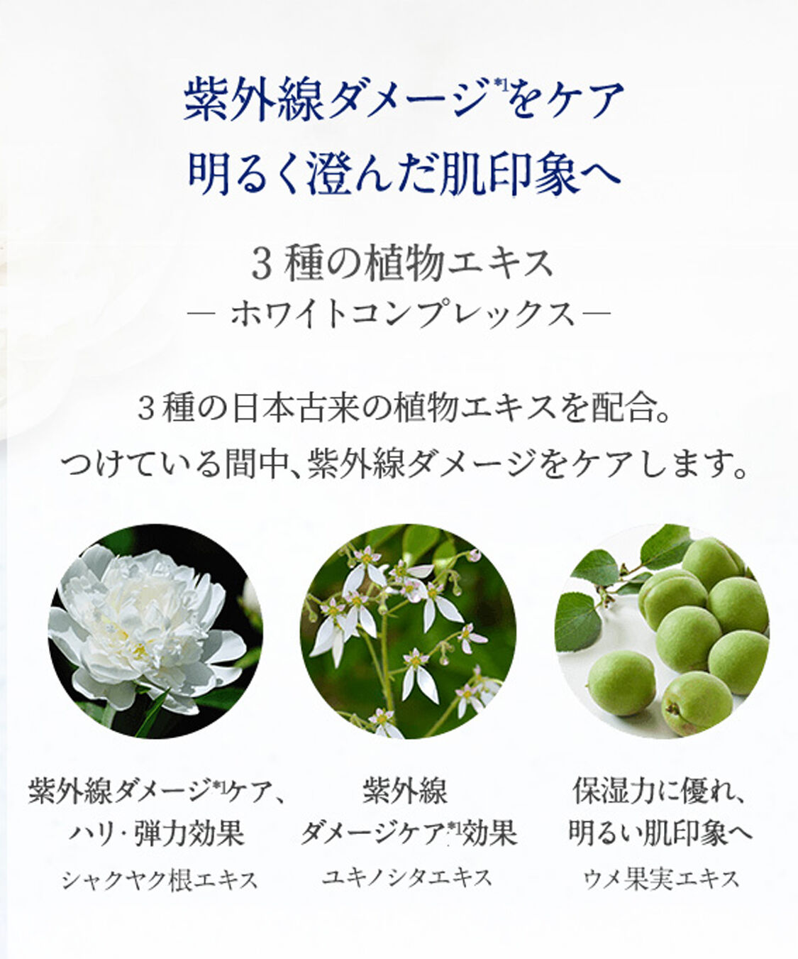 NEAL&rsquo;S YARD REMEDIES「ナチュラル UV プロテクション ボディミルク（SPF35／PA+++） 60mｌ」|ＵＶケア|