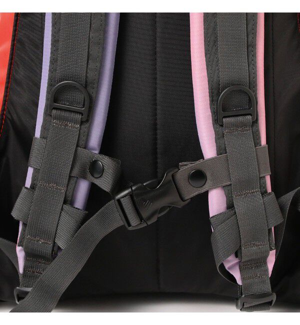 BEAMSBOY「【別注】GREGORY / DAY PACK」|その他|