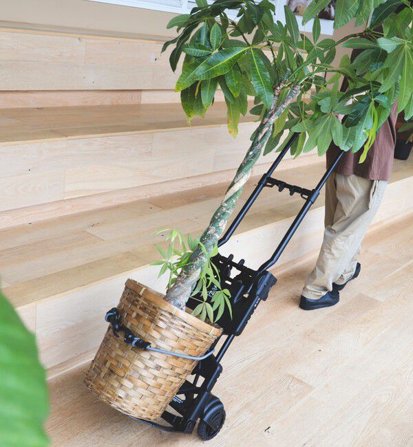 bPr BEAMS「花岡車輌 / FLAT CART 2&times;4 BLACK」|その他|