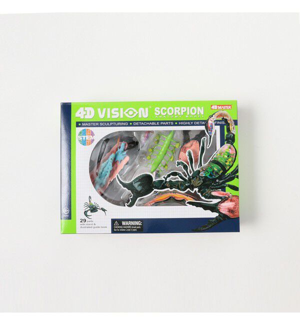 bPr BEAMS「4D MASTER / INSECT ANATOMY」|その他|