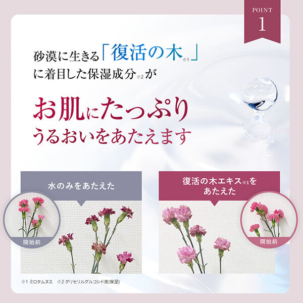 「BRIGHTAGE（ブライトエイジ） リフトホワイト ローション モイスト 本体 (120ml)」|化粧水|