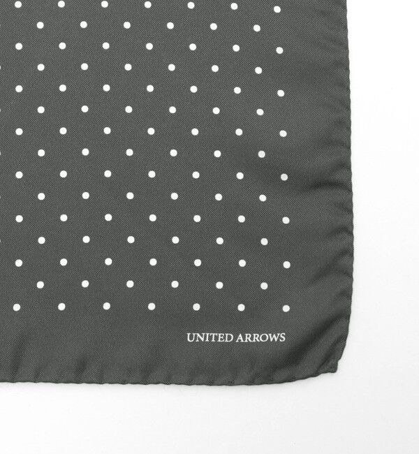 UNITED ARROWS「ドット ポケットチーフ」|その他|