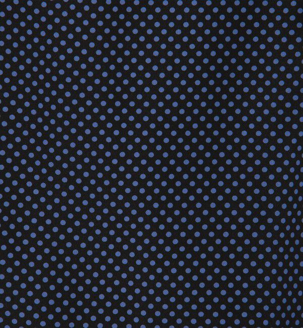 Ballsey「ドットプリント ボウタイブラウス」|シャツ・ブラウス|