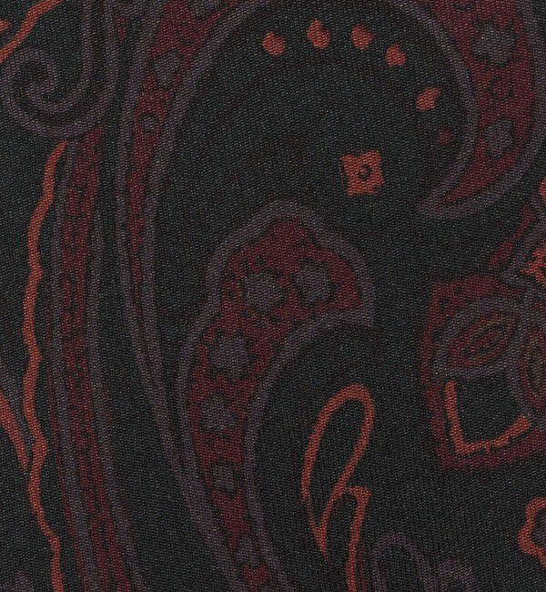 TOMORROWLAND GOODS「TOMORROWLAND シルク プリントペイズリー柄ネクタイ」|ネクタイ・蝶ネクタイ|