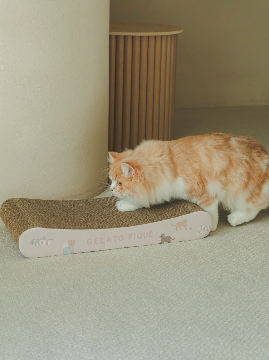  GELATO PIQUE CAT&DOG「【CAT&DOG】ねこ柄つめとぎ」|その他|