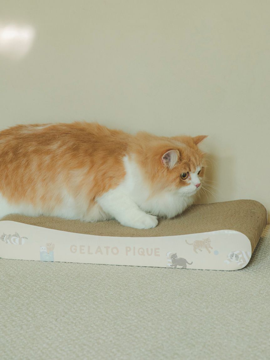  GELATO PIQUE CAT&DOG「【CAT&DOG】ねこ柄つめとぎ」|その他|