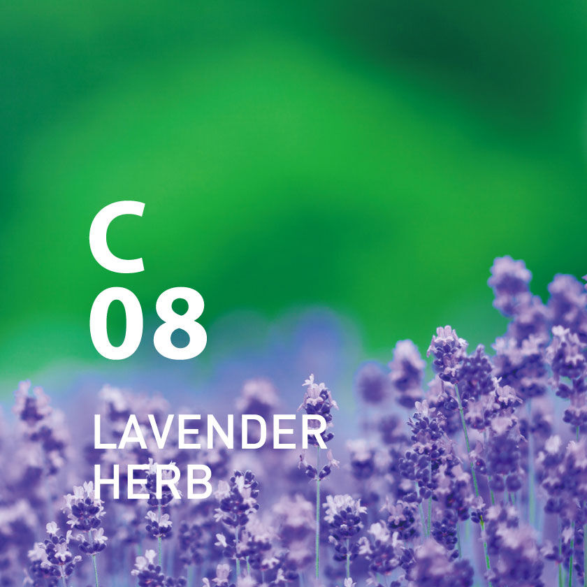 アットアロマ「C08ラベンダーハーブ 10ml　」|アロマ・ルームフレグランス|