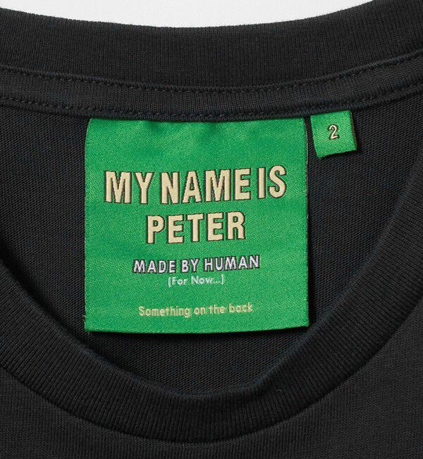 NICE WEATHER「＜PETER＞USA FLAG Tシャツ」|Tシャツ・カットソー|