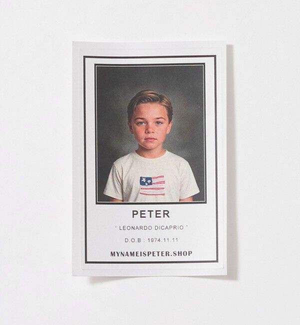 NICE WEATHER「＜PETER＞USA FLAG Tシャツ」|Tシャツ・カットソー|