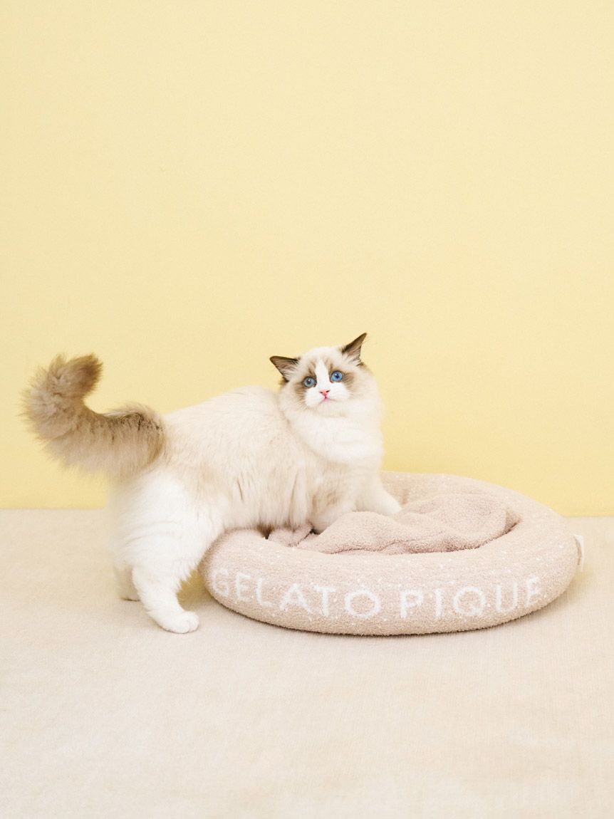  GELATO PIQUE CAT&DOG「【CAT&DOG】ベビモコベッドL」|その他|BEG