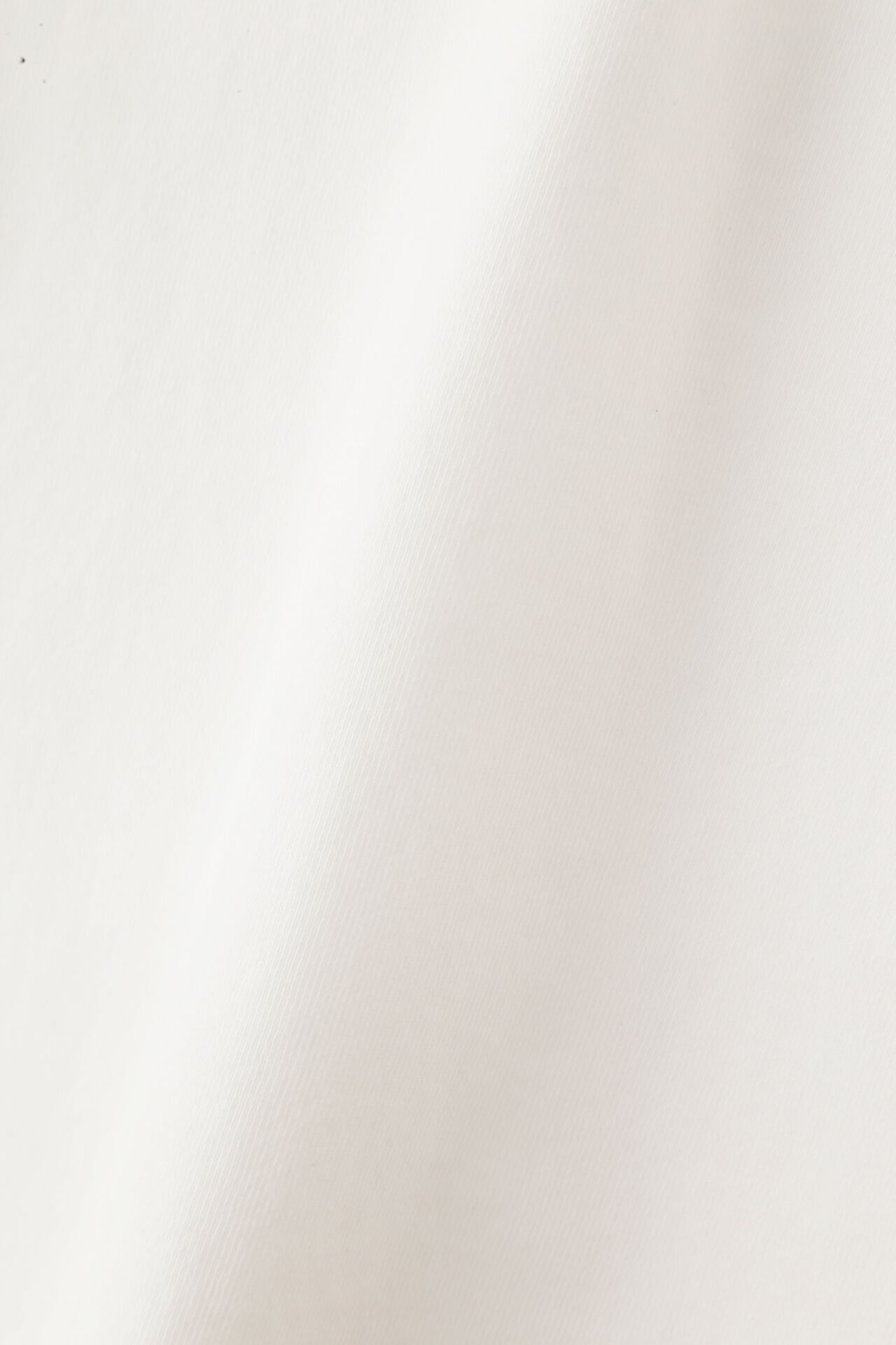 YLEVE 「Ｙ / ORGANIC COTTON BLEND HEAVY WEIGHT FLEECE TURTLE NECK」|Tシャツ・カットソー|