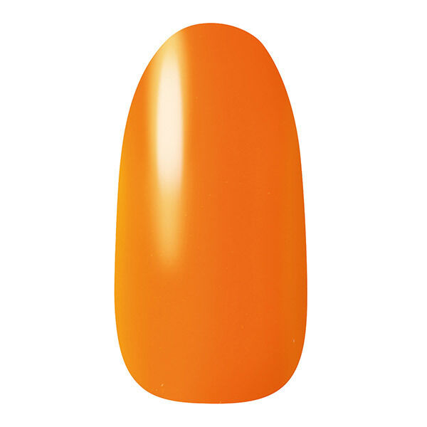 「ネイルホリック ネイルホリック OR210 本体/なめらかで軽い (5mL)」|ネイルカラー|