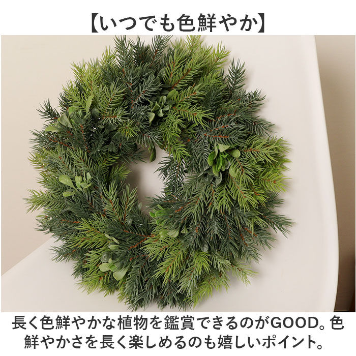 BACKYARD FAMILY「リース 造花 通販 フェイクグリーン フェイク グリーン 葉っぱ 観葉植物」|その他|