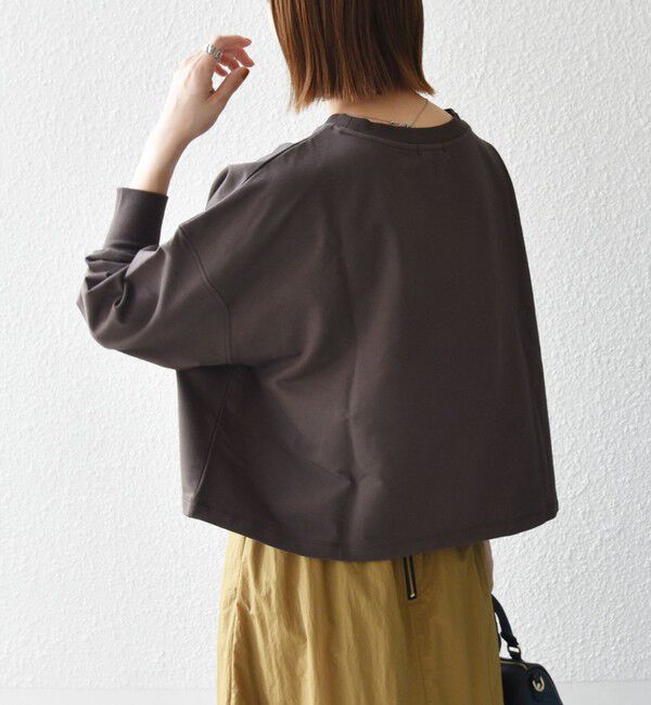 SHIPS any「《一部追加予約》SHIPS any:〈洗濯機可能〉インレイ ロングスリーブ コンパクト プルオーバー」|Tシャツ・カットソー|