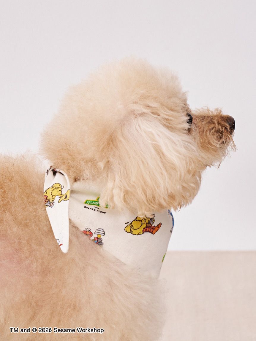  GELATO PIQUE CAT&DOG「【SESAME STREET】【CAT＆DOG】バンダナ」|その他|