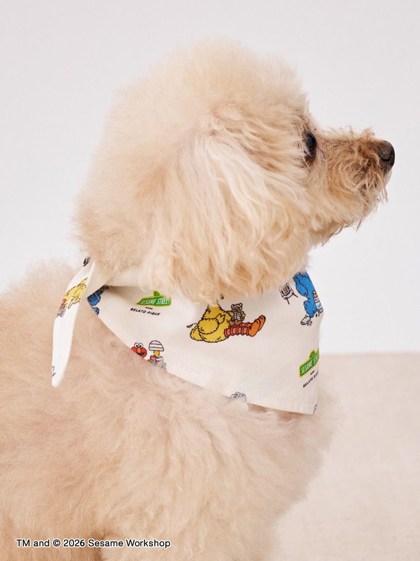 GELATO PIQUE CAT&DOG「【SESAME STREET】【CAT＆DOG】バンダナ」|その他|