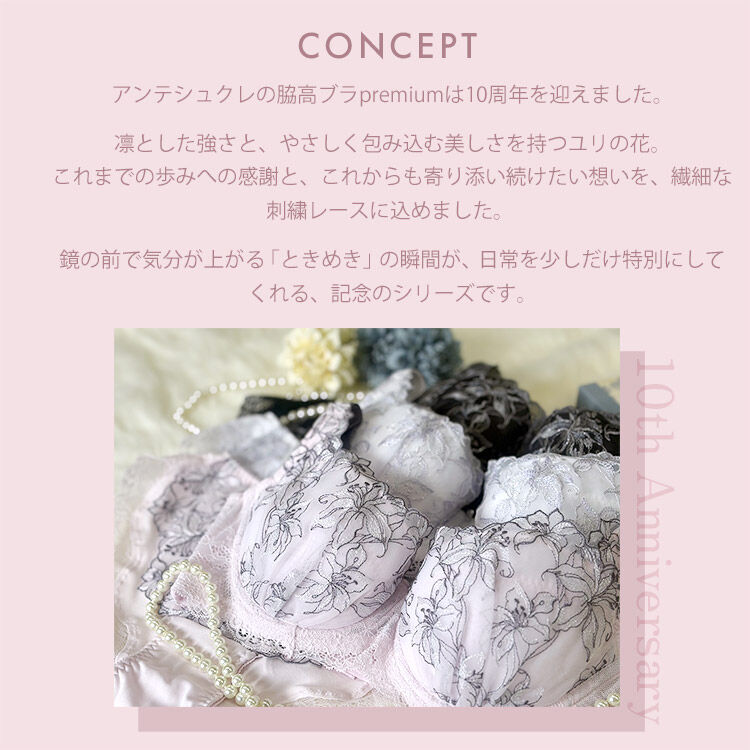 intesucre「アンテシュクレ 脇高ブラ Premium ブラジャー単品  B-E/60-75 IBT390」|インナー|